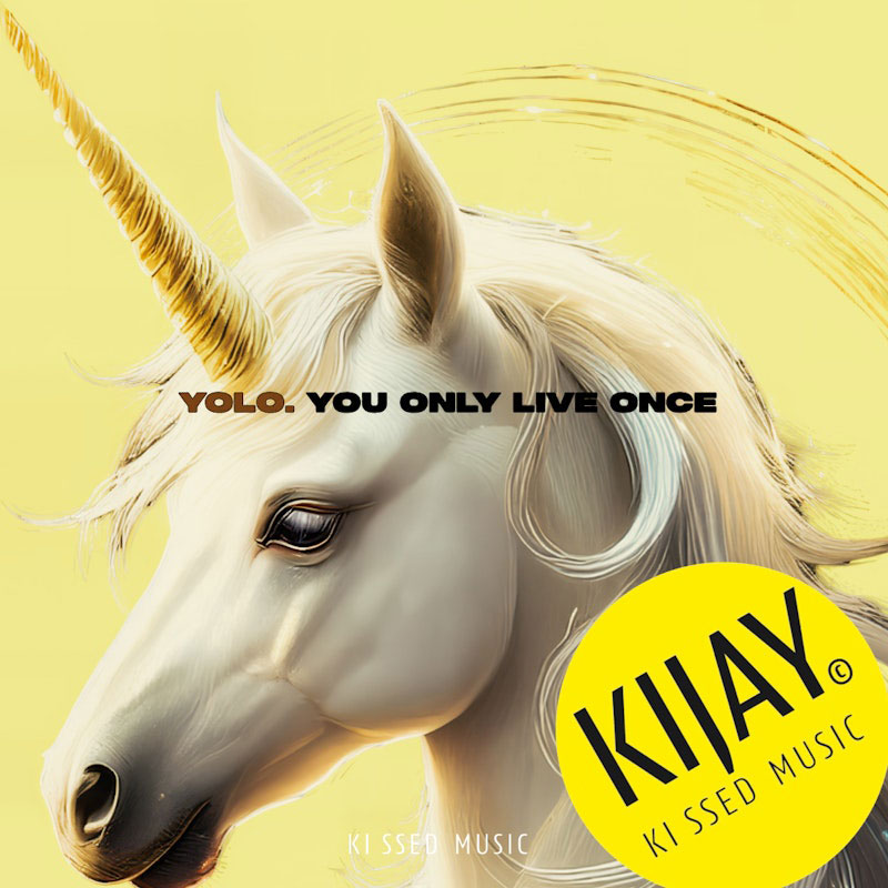 YOLO YOU ONLY LIVE ONCE